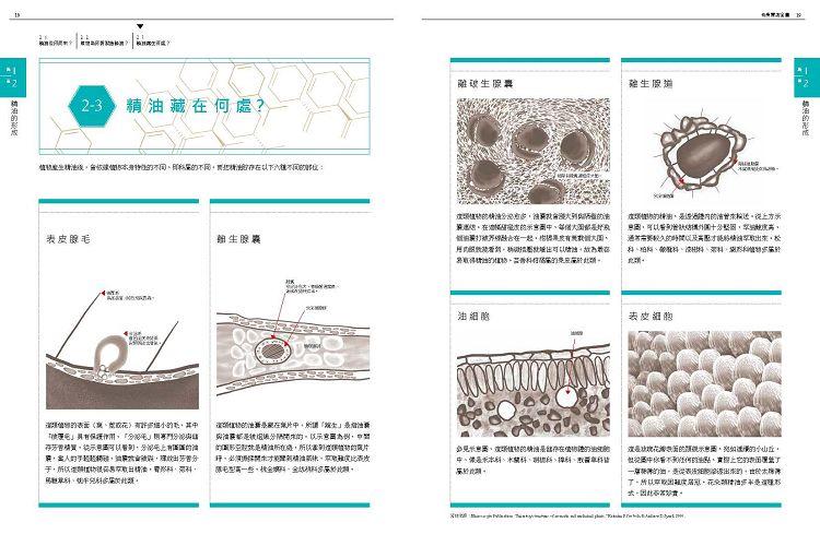 芳療實證全書：從分子到精油、從科學到身心靈，成為專業芳療師的必備聖經【肯園20週年紀念版】